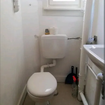 Single Near The Black Forest