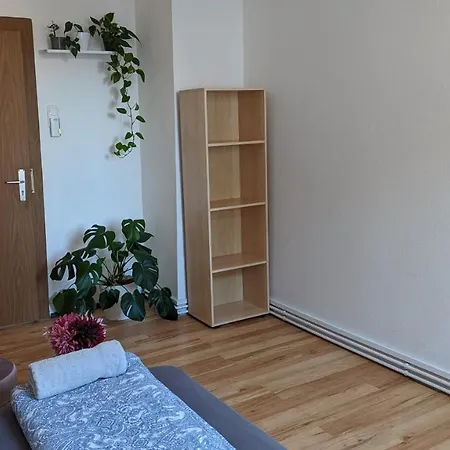 Pensión Single Near The Black Forest *