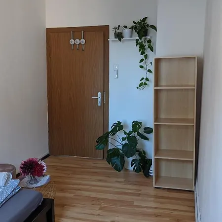 Single Near The Black Forest Pensión Villingen-Schwenningen